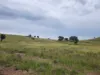"Blacksprings" 7537 Stanthorpe-Texas Road, Texas, Qld 4385-Image
