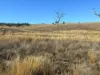 "Blacksprings" 7537 Stanthorpe-Texas Road, Texas, Qld 4385-Image