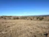 "Blacksprings" 7537 Stanthorpe-Texas Road, Texas, Qld 4385-Image