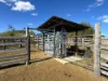 "Blacksprings" 7537 Stanthorpe-Texas Road, Texas, Qld 4385-Image
