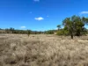 "Blacksprings" 7537 Stanthorpe-Texas Road, Texas, Qld 4385-Image