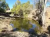 "Blacksprings" 7537 Stanthorpe-Texas Road, Texas, Qld 4385-Image
