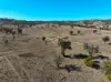 "Blacksprings" 7537 Stanthorpe-Texas Road, Texas, Qld 4385-Image