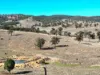 "Blacksprings" 7537 Stanthorpe-Texas Road, Texas, Qld 4385-Image