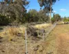 "Blacksprings" 7537 Stanthorpe-Texas Road, Texas, Qld 4385-Image