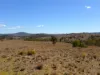 "Blacksprings" 7537 Stanthorpe-Texas Road, Texas, Qld 4385-Image