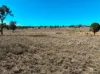 "Blacksprings" 7537 Stanthorpe-Texas Road, Texas, Qld 4385-Image
