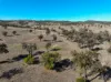 "Blacksprings" 7537 Stanthorpe-Texas Road, Texas, Qld 4385-Image