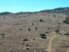 "Blacksprings" 7537 Stanthorpe-Texas Road, Texas, Qld 4385-Image