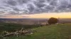 "Blacksprings" 7537 Stanthorpe-Texas Road, Texas, Qld 4385-Image