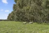 Browns Road, Timboon, Vic 3268-Image