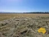 . Byee Road, Wheatlands, Qld 4606-Image