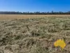 . Byee Road, Wheatlands, Qld 4606-Image