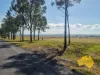 . Byee Road, Wheatlands, Qld 4606-Image