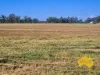 . Byee Road, Wheatlands, Qld 4606-Image