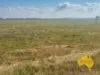 . Byee Road, Wheatlands, Qld 4606-Image