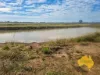 . Byee Road, Wheatlands, Qld 4606-Image