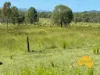 . Byee Road, Wheatlands, Qld 4606-Image