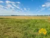 . Byee Road, Wheatlands, Qld 4606-Image
