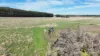 Cobden-Terang Road, Cobrico, Vic 3266-Image