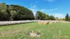 Cobden-Terang Road, Cobrico, Vic 3266-Image
