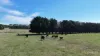Cobden-Terang Road, Cobrico, Vic 3266-Image