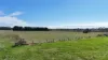 Cobden-Terang Road, Cobrico, Vic 3266-Image