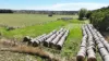 Cobden-Terang Road, Cobrico, Vic 3266-Image