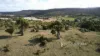Crowles Road, Cooranga, Qld 4408