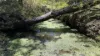 Crowles Road, Cooranga, Qld 4408-Image