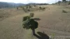 Crowles Road, Cooranga, Qld 4408-Image