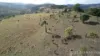 Crowles Road, Cooranga, Qld 4408-Image