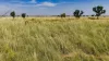 Dampier Downs Road, Gingerah, WA 6725-Image