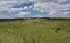 Dampier Downs Road, Gingerah, WA 6725-Image