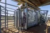 Dampier Downs Road, Gingerah, WA 6725-Image