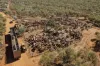 Dampier Downs Road, Gingerah, WA 6725-Image