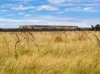 Dampier Downs Road, Gingerah, WA 6725-Image