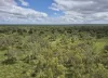 Dampier Downs Road, Gingerah, WA 6725-Image