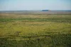 Dampier Downs Road, Gingerah, WA 6725-Image