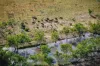 Dampier Downs Road, Gingerah, WA 6725-Image