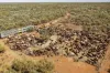 Dampier Downs Road, Gingerah, WA 6725-Image