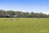 Digneys Bridge Road, Timboon, Vic 3268-Image