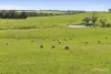 Digneys Bridge Road, Timboon, Vic 3268-Image