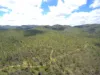 , Dimbulah QLD 4872-Image