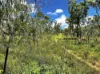 , Dimbulah QLD 4872-Image