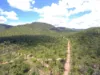 , Dimbulah QLD 4872-Image