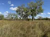 Ella Vale Station Ellavale Rd, Croydon, Qld 4871-Image