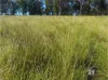 “Gedley et. al.” West Boondooma Road, Durong, Qld 4610-Image