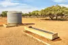 Gilles Downs Station Eyre Highway, IRON KNOB SA 5611-Image