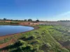 Gilles Downs Station Eyre Highway, IRON KNOB SA 5611-Image